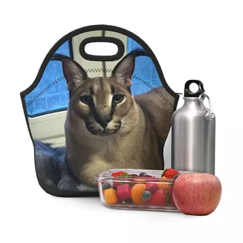 Big Floppa vicces mém szigetelt uzsonnás táska nőknek Férfi Caracal Cat Cooler Thermal neoprén élelmiszer uzsonnás doboz Iskolás gyerekek 4