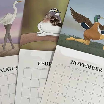 Rendkívül pontos madárnaptár falinaptár 2024. január - 2024. december,12 havi madarak lógó naptár tervező Egyszerű telepítés