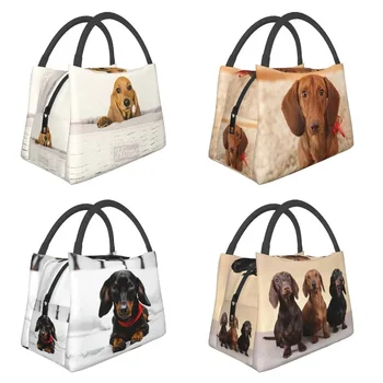 Aranyos tacskó kutya szigetelt uzsonnás táskák nőknek Kolbász Wiener Badger kutyák hordozható hőhűtő Bento Box munka utazás