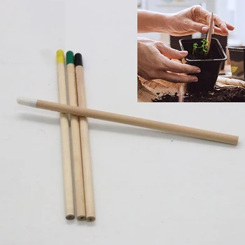 ÚJ 4db ötlet csírázási ceruza készlet ceruza termesztéséhez Mini DIY asztali cserepes növény Különleges ajándékok Művészi ceruza iskolai kellékek